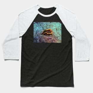 Chromodoris joshi nudibranch Baseball T-Shirt